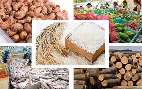 Xuất khẩu nông sản Việt Nam năm 2018 vượt kỷ lục 40 tỷ USD