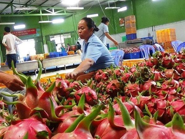 Nhật, EU siết kiểm tra một số mặt hàng nhập từ Việt Nam