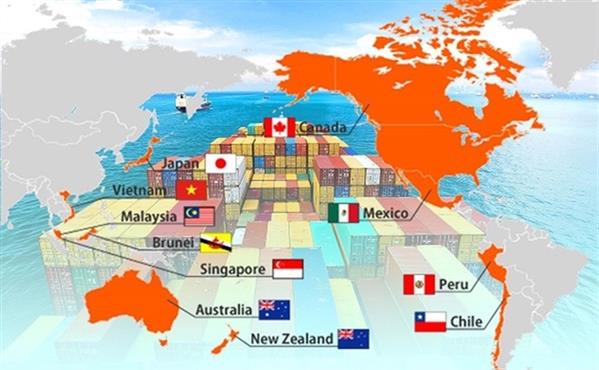 Thực hiện CPTPP, Việt Nam dự kiến giảm thuế 300 mặt hàng