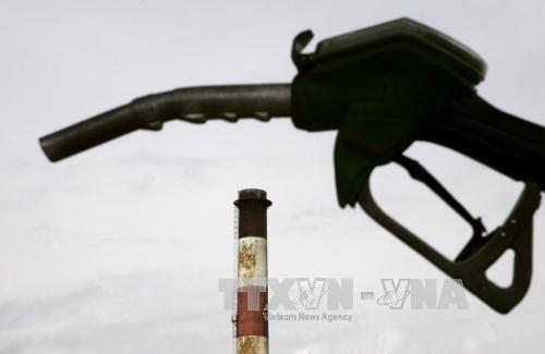 Nếu OPEC cắt giảm sản lượng, giá dầu có thể đạt 55 USD/thùng