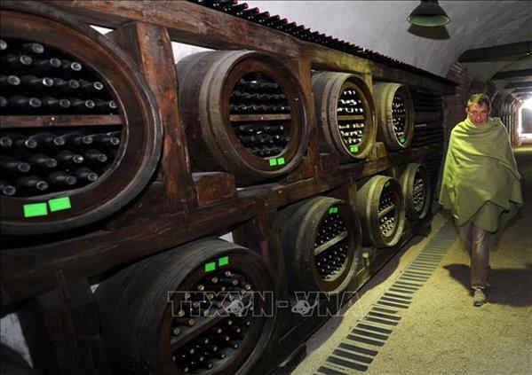 Quốc hội LB Nga thông qua dự luật trừng phạt Gruzia