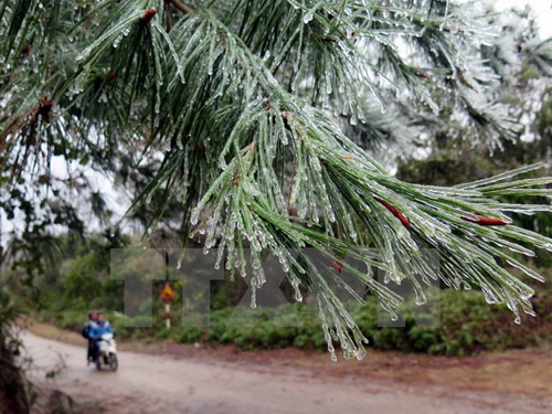 Không khí lạnh tăng cường, Hà Nội tiếp tục chìm trong mưa rét