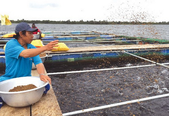 Người Việt ở châu Phi