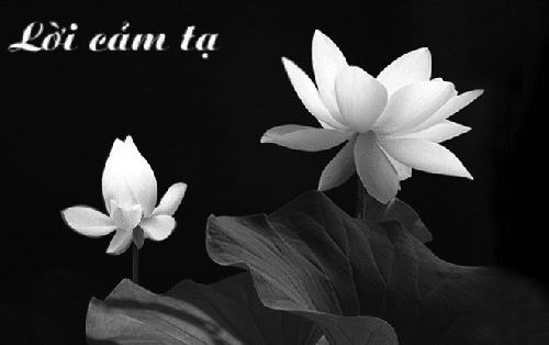 Lời cảm tạ của gia đình cháu Võ Văn Hiền (12/2/2018)