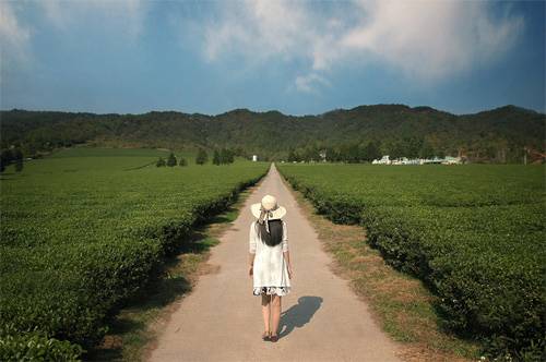 Đã có lúc em muốn được hư hỏng