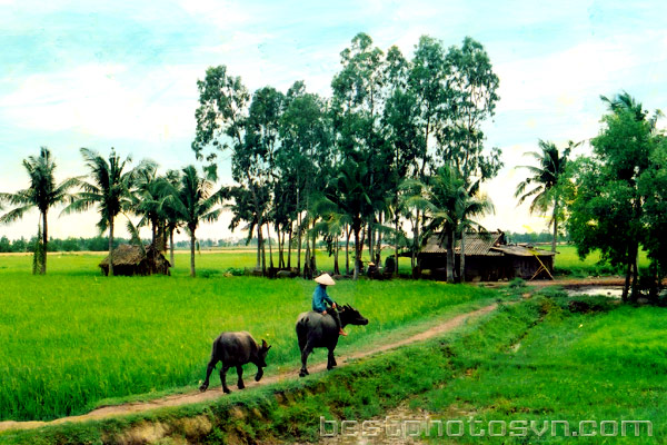 Nghĩ về chuyến hành hương