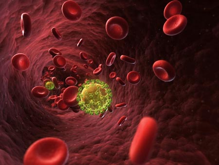 Người duy nhất thế giới được chữa khỏi HIV nhờ đâu?