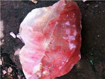 Cảnh giác việc thương lái nước ngoài thu gom đá đỏ