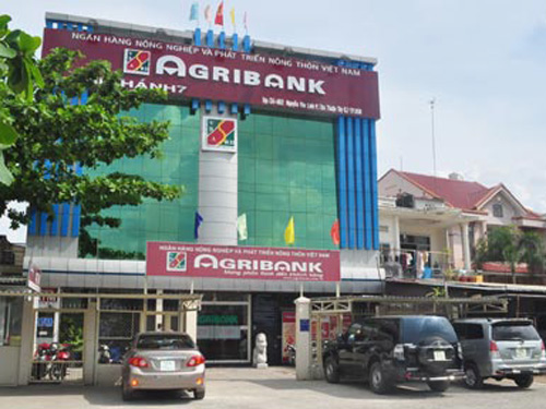 Gây thiệt hại hơn 600 tỉ, nguyên GĐ Agribank bị truy tố