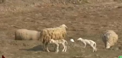 Hạn hán đe dọa an sinh xã hội