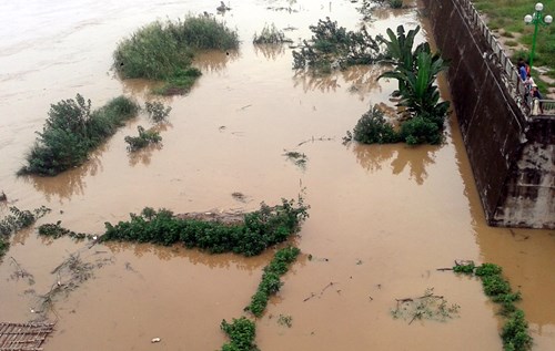 Trung Quốc xả lũ sang Việt Nam, hoa màu bị ngập lụt