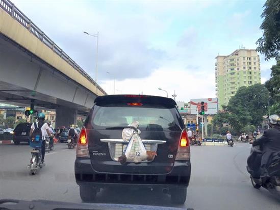 Ôtô biển số 'con gà', 'con vịt' náo loạn Hà Thành