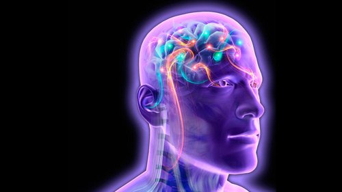 Máy tính đã đọc được suy nghĩ tức thời của con người