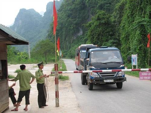 Vụ 3 cây sưa: Hơn 100 người vào rừng tìm gỗ