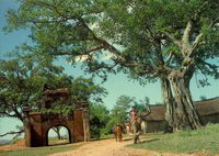 Người Làng - Phim Việt Nam