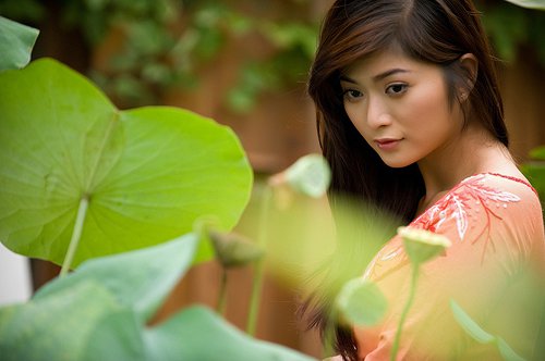 Áo dài Việt Nam - Phần 44