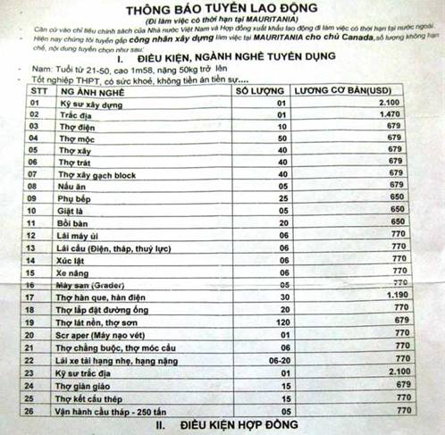Tuyển công nhân Việt Nam đi đào vàng ở… sa mạc Sahara?