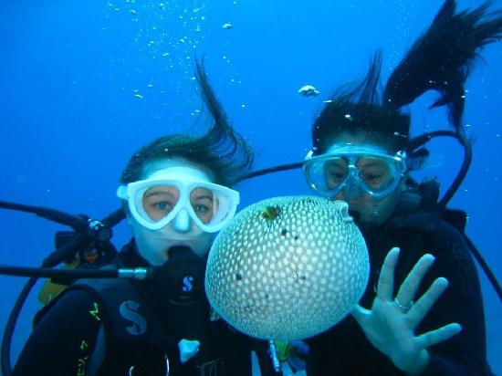 Cá nóc cực độc bất ngờ xuất hiện tại Nga