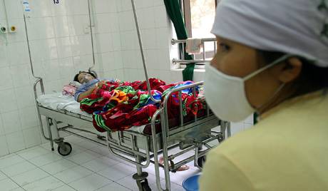 Sự bùng phát bệnh lạ không ảnh hưởng đến dòng chảy của khách du lịch Nga vào Việt Nam