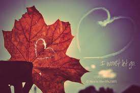 Hạnh phúc đợi chờ