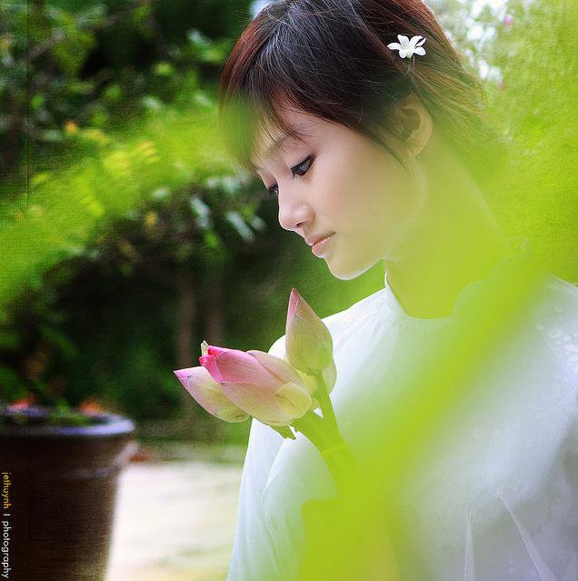 Áo dài Việt Nam - Phần 60