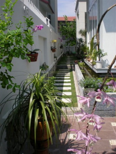 Đặt cây xanh đúng cách trong công sở