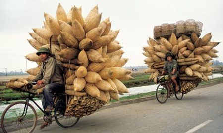 Báo Anh bàn chuyện xe đạp ở Việt Nam