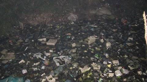 Người Hà Nội mắc màn ăn cơm vì... ruồi muỗi