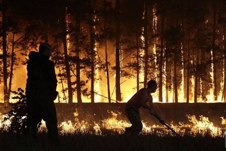 Nga: bắt đầu xuất hiện những đám cháy rừng ở Xi-bê-ri