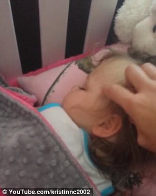 Kinh ngạc phát hiện cún cưng đắp chăn, ngủ cùng con gái trên giường