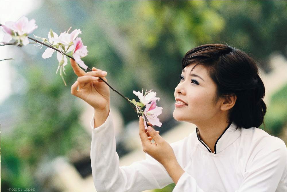 Áo dài Việt Nam - Phần 17