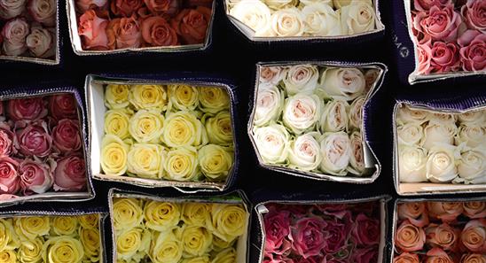 Ngày 08 tháng 3 phụ nữ Nga đón nhận những đóa hồng tốt nhất của Việt Nam