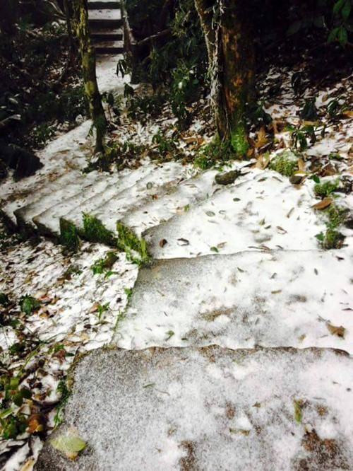 Tuyết đã rơi ở Hà Nội