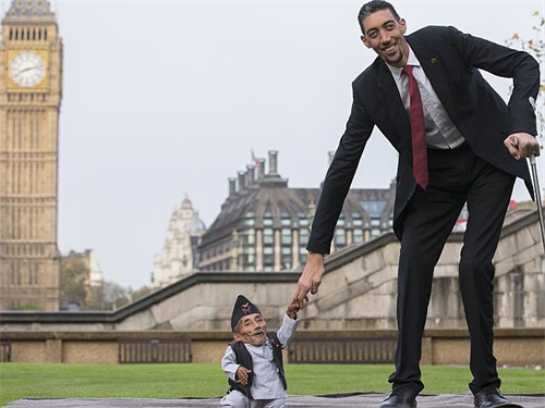 Khi người cao nhất 'chạm trán' với người thấp nhất thế giới