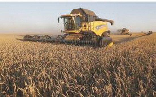 Nga lo quá tải dự trữ ngũ cốc