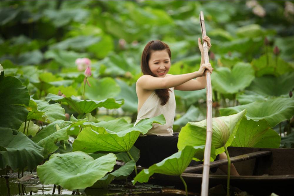 Vẻ đẹp thuần khiết của hoa Sen - Phần 2