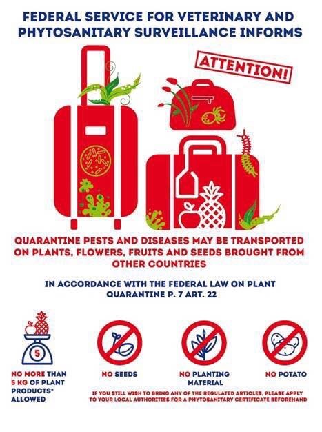 Những lưu ý khi vận chuyển hàng hóa vào Nga