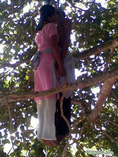 Tự tử trên cây trong tư thế... hôn nhau