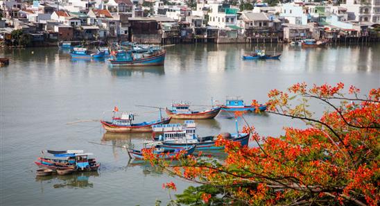 Khảo sát ý kiến: Người Nga biết nhiều nhất về Việt Nam trong các nước ASEAN