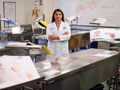 Liên minh ngầm kinh doanh cơ thể người