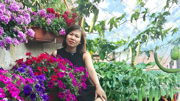 Mẹ đảm cải tạo sân bê tông thành khu vườn với bạt ngàn rau củ quả tươi tốt
