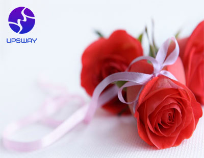 Công ty UPSWAY chúc mừng ngày Quốc tế Phụ nữ 8/3