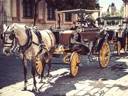 Dịch vụ 870 triệu đón con đại gia tới trường