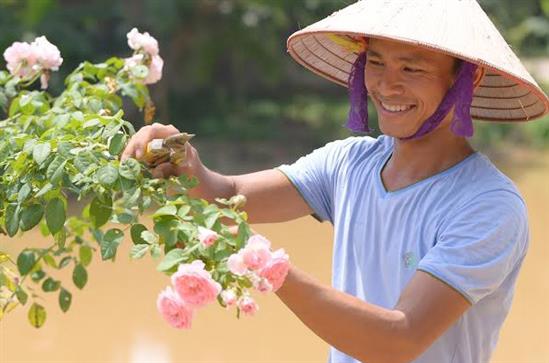 Chàng trai 8X lập nghiệp từ hoa hồng trên đất Tổ