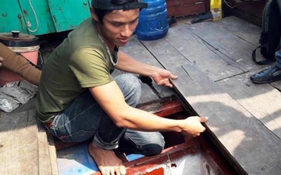 Chủ nhân bắt được cá nghi là sủ vàng: 'Ai trả 500 triệu đồng tôi bán luôn'