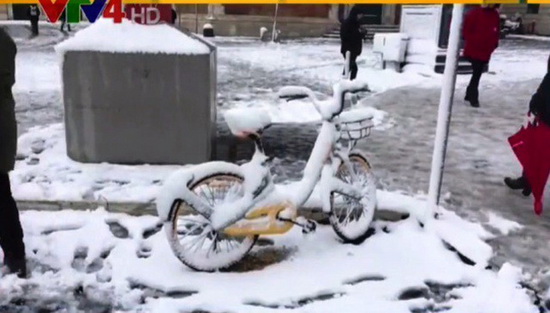 Giá lạnh kỷ lục ở châu Âu ảnh hưởng gì đến cộng đồng người Việt?