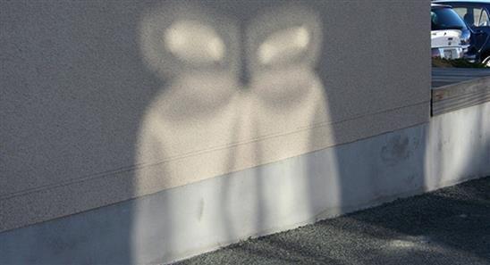 Tỷ phú Nga chi 100 triệu USD để tìm kiếm người ngoài hành tinh