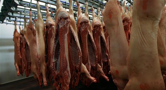 Nga bùng nổ xuất khẩu thịt lợn