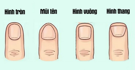 Hình dáng móng tay tiết lộ khá nhiều điều thú vị về bạn, 1 loại cho biết chủ nhân có IQ cao