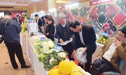 90% nông sản Việt xuất khẩu phải ''mượn danh''